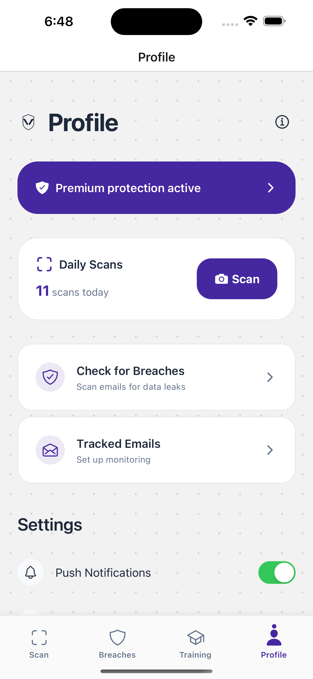 Vishion.ai Profile & Progress